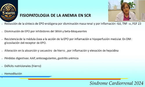 Síndrome de la anemia cardiorrenal 